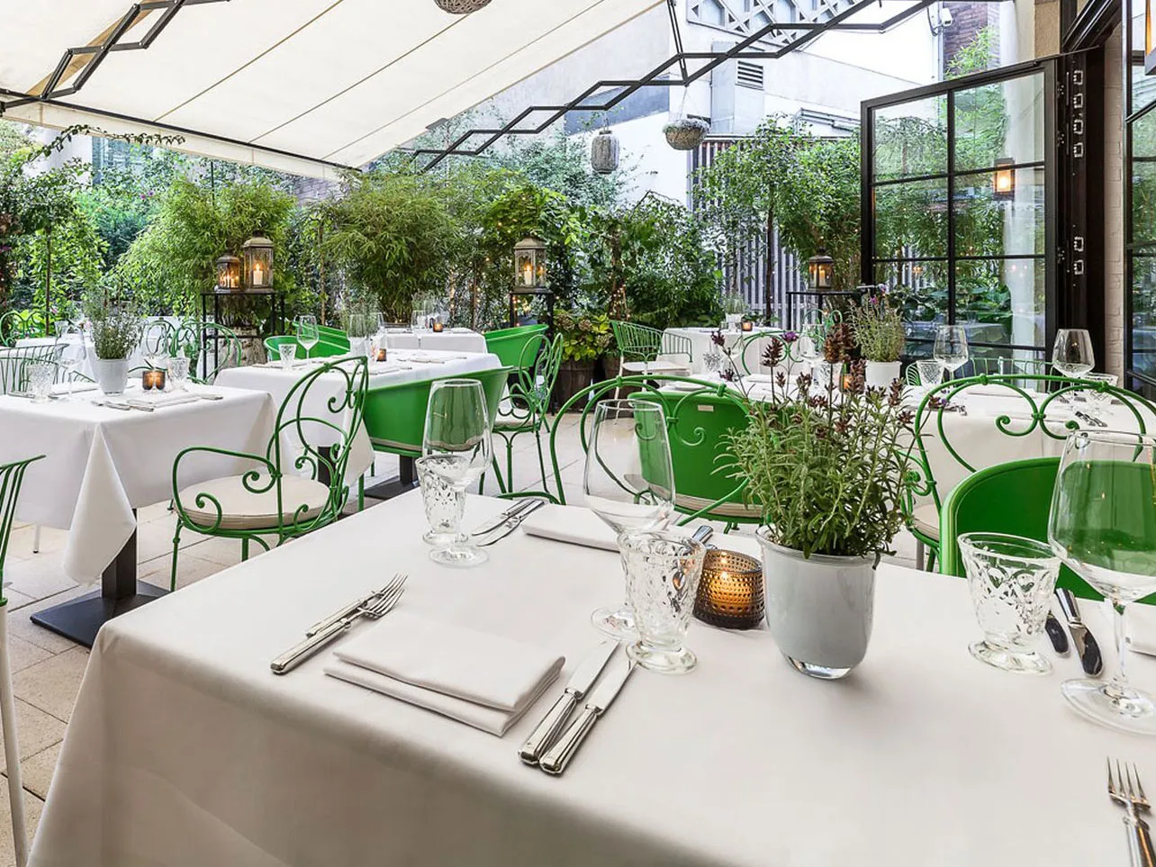 Hotel Zoo Berlin: Amenities & Dining